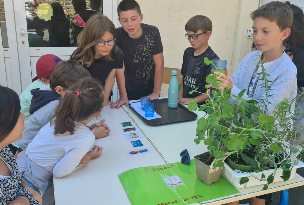 ateliers des cinq sens