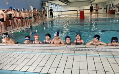 Cycle Natation